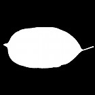Filename=leaf_mask_00494.jpg
Filesize=21KiB
Dimensions=640x640
Date added=Sep 14, 2006 leaf_mask_00494.jpg