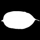 Filename=leaf_mask_00495.jpg
Filesize=21KiB
Dimensions=640x640
Date added=Sep 14, 2006 leaf_mask_00495.jpg