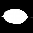Filename=leaf_mask_00514.jpg
Filesize=21KiB
Dimensions=640x640
Date added=Sep 14, 2006 leaf_mask_00514.jpg