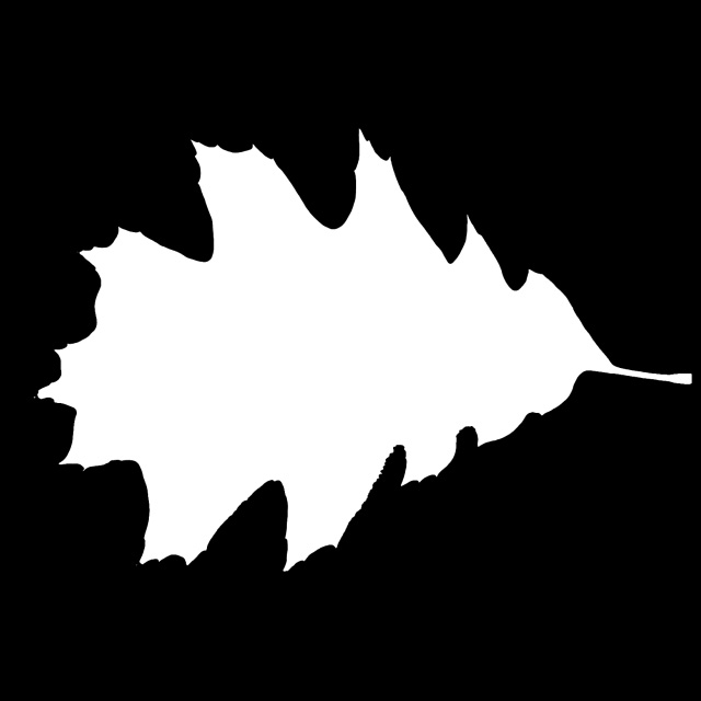 Leaf Mask        