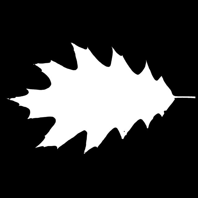 Leaf Mask        