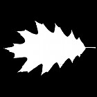 Filename=leaf_mask_00191.jpg
Filesize=27KiB
Dimensions=640x640
Date added=Sep 14, 2006 leaf_mask_00191.jpg