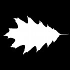 Filename=leaf_mask_00192.jpg
Filesize=26KiB
Dimensions=640x640
Date added=Sep 14, 2006 leaf_mask_00192.jpg