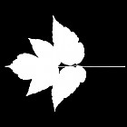 Filename=leaf_mask_00042.jpg
Filesize=28KiB
Dimensions=640x640
Date added=Sep 14, 2006 leaf_mask_00042.jpg