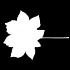 Filename=leaf_mask_00160.jpg
Filesize=26KiB
Dimensions=640x640
Date added=Sep 14, 2006 leaf_mask_00160.jpg
