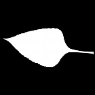 Filename=leaf_mask_00037.jpg
Filesize=21KiB
Dimensions=640x640
Date added=Sep 14, 2006 leaf_mask_00037.jpg