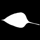 Filename=leaf_mask_00039.jpg
Filesize=21KiB
Dimensions=640x640
Date added=Sep 14, 2006 leaf_mask_00039.jpg