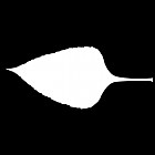 Filename=leaf_mask_00040.jpg
Filesize=21KiB
Dimensions=640x640
Date added=Sep 14, 2006 leaf_mask_00040.jpg