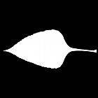 Filename=leaf_mask_00041.jpg
Filesize=21KiB
Dimensions=640x640
Date added=Sep 14, 2006 leaf_mask_00041.jpg