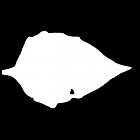 Filename=leaf_mask_00228.jpg
Filesize=23KiB
Dimensions=640x640
Date added=Sep 14, 2006 leaf_mask_00228.jpg