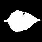 Filename=leaf_mask_00229.jpg
Filesize=22KiB
Dimensions=640x640
Date added=Sep 14, 2006 leaf_mask_00229.jpg