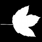 Filename=leaf_mask_00410.jpg
Filesize=25KiB
Dimensions=640x640
Date added=Sep 14, 2006 leaf_mask_00410.jpg