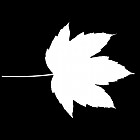 Filename=leaf_mask_00412.jpg
Filesize=27KiB
Dimensions=640x640
Date added=Sep 14, 2006 leaf_mask_00412.jpg