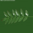 Filename=leaf_00206.jpg
Filesize=51KiB
Dimensions=640x640
Date added=Sep 14, 2006 leaf_00206.jpg