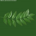 Filename=leaf_00426.jpg
Filesize=60KiB
Dimensions=640x640
Date added=Sep 14, 2006 leaf_00426.jpg