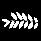 Filename=leaf_mask_00233.jpg
Filesize=40KiB
Dimensions=640x640
Date added=Sep 14, 2006 leaf_mask_00233.jpg