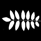 Filename=leaf_mask_00356.jpg
Filesize=42KiB
Dimensions=640x640
Date added=Sep 14, 2006 leaf_mask_00356.jpg