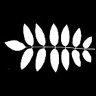 Filename=leaf_mask_00357.jpg
Filesize=41KiB
Dimensions=640x640
Date added=Sep 14, 2006 leaf_mask_00357.jpg