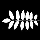 Filename=leaf_mask_00358.jpg
Filesize=41KiB
Dimensions=640x640
Date added=Sep 14, 2006 leaf_mask_00358.jpg