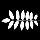 Filename=leaf_mask_00359.jpg
Filesize=42KiB
Dimensions=640x640
Date added=Sep 14, 2006 leaf_mask_00359.jpg