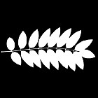Filename=leaf_mask_00423.jpg
Filesize=41KiB
Dimensions=640x640
Date added=Sep 14, 2006 leaf_mask_00423.jpg