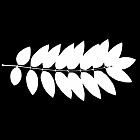 Filename=leaf_mask_00424.jpg
Filesize=40KiB
Dimensions=640x640
Date added=Sep 14, 2006 leaf_mask_00424.jpg