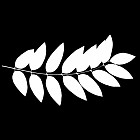 Filename=leaf_mask_00426.jpg
Filesize=41KiB
Dimensions=640x640
Date added=Sep 14, 2006 leaf_mask_00426.jpg