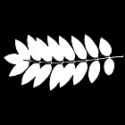 Filename=leaf_mask_00431.jpg
Filesize=42KiB
Dimensions=640x640
Date added=Sep 14, 2006 leaf_mask_00431.jpg