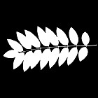 Filename=leaf_mask_00432.jpg
Filesize=41KiB
Dimensions=640x640
Date added=Sep 14, 2006 leaf_mask_00432.jpg