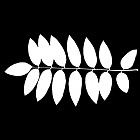 Filename=leaf_mask_00469.jpg
Filesize=43KiB
Dimensions=640x640
Date added=Sep 14, 2006 leaf_mask_00469.jpg