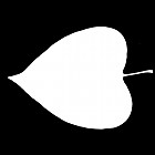 Filename=leaf_mask_00006.jpg
Filesize=23KiB
Dimensions=640x640
Date added=Sep 14, 2006 leaf_mask_00006.jpg