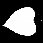 Filename=leaf_mask_00007.jpg
Filesize=23KiB
Dimensions=640x640
Date added=Sep 14, 2006 leaf_mask_00007.jpg