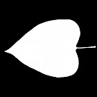 Filename=leaf_mask_00008.jpg
Filesize=22KiB
Dimensions=640x640
Date added=Sep 14, 2006 leaf_mask_00008.jpg