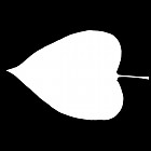 Filename=leaf_mask_00009.jpg
Filesize=22KiB
Dimensions=640x640
Date added=Sep 14, 2006 leaf_mask_00009.jpg