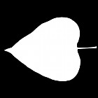 Filename=leaf_mask_00085.jpg
Filesize=23KiB
Dimensions=640x640
Date added=Sep 14, 2006 leaf_mask_00085.jpg