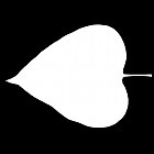 Filename=leaf_mask_00086.jpg
Filesize=23KiB
Dimensions=640x640
Date added=Sep 14, 2006 leaf_mask_00086.jpg