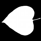 Filename=leaf_mask_00091.jpg
Filesize=23KiB
Dimensions=640x640
Date added=Sep 14, 2006 leaf_mask_00091.jpg