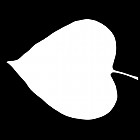Filename=leaf_mask_00092.jpg
Filesize=24KiB
Dimensions=640x640
Date added=Sep 14, 2006 leaf_mask_00092.jpg