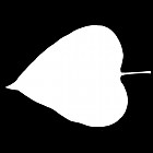 Filename=leaf_mask_00094.jpg
Filesize=23KiB
Dimensions=640x640
Date added=Sep 14, 2006 leaf_mask_00094.jpg