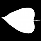Filename=leaf_mask_00096.jpg
Filesize=22KiB
Dimensions=640x640
Date added=Sep 14, 2006 leaf_mask_00096.jpg