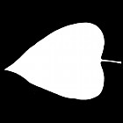 Filename=leaf_mask_00097.jpg
Filesize=22KiB
Dimensions=640x640
Date added=Sep 14, 2006 leaf_mask_00097.jpg