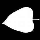Filename=leaf_mask_00126.jpg
Filesize=22KiB
Dimensions=640x640
Date added=Sep 14, 2006 leaf_mask_00126.jpg