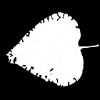 Filename=leaf_mask_00218.jpg
Filesize=33KiB
Dimensions=640x640
Date added=Sep 14, 2006 leaf_mask_00218.jpg