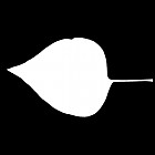 Filename=leaf_mask_00301.jpg
Filesize=21KiB
Dimensions=640x640
Date added=Sep 14, 2006 leaf_mask_00301.jpg