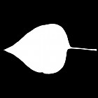 Filename=leaf_mask_00302.jpg
Filesize=21KiB
Dimensions=640x640
Date added=Sep 14, 2006 leaf_mask_00302.jpg