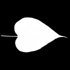 Filename=leaf_mask_00378.jpg
Filesize=21KiB
Dimensions=640x640
Date added=Sep 14, 2006 leaf_mask_00378.jpg