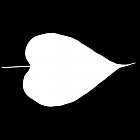 Filename=leaf_mask_00379.jpg
Filesize=22KiB
Dimensions=640x640
Date added=Sep 14, 2006 leaf_mask_00379.jpg
