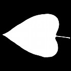 Filename=leaf_mask_00512.jpg
Filesize=23KiB
Dimensions=640x640
Date added=Sep 14, 2006 leaf_mask_00512.jpg