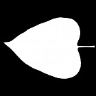 Filename=leaf_mask_00516.jpg
Filesize=22KiB
Dimensions=640x640
Date added=Sep 14, 2006 leaf_mask_00516.jpg