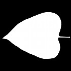 Filename=leaf_mask_00517.jpg
Filesize=22KiB
Dimensions=640x640
Date added=Sep 14, 2006 leaf_mask_00517.jpg